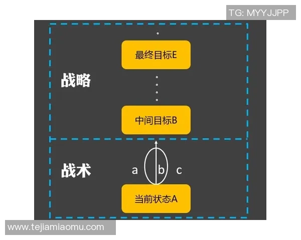 深入解析WE战队进攻体系的战术布局与执行策略